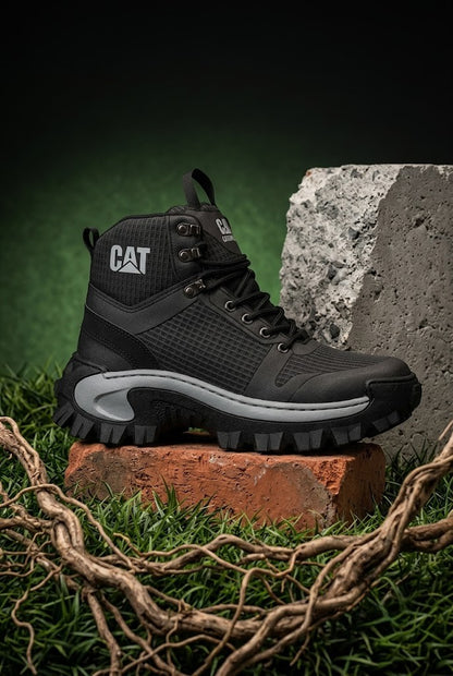 ⚜️ BOTA CAT EXPLORER CAB